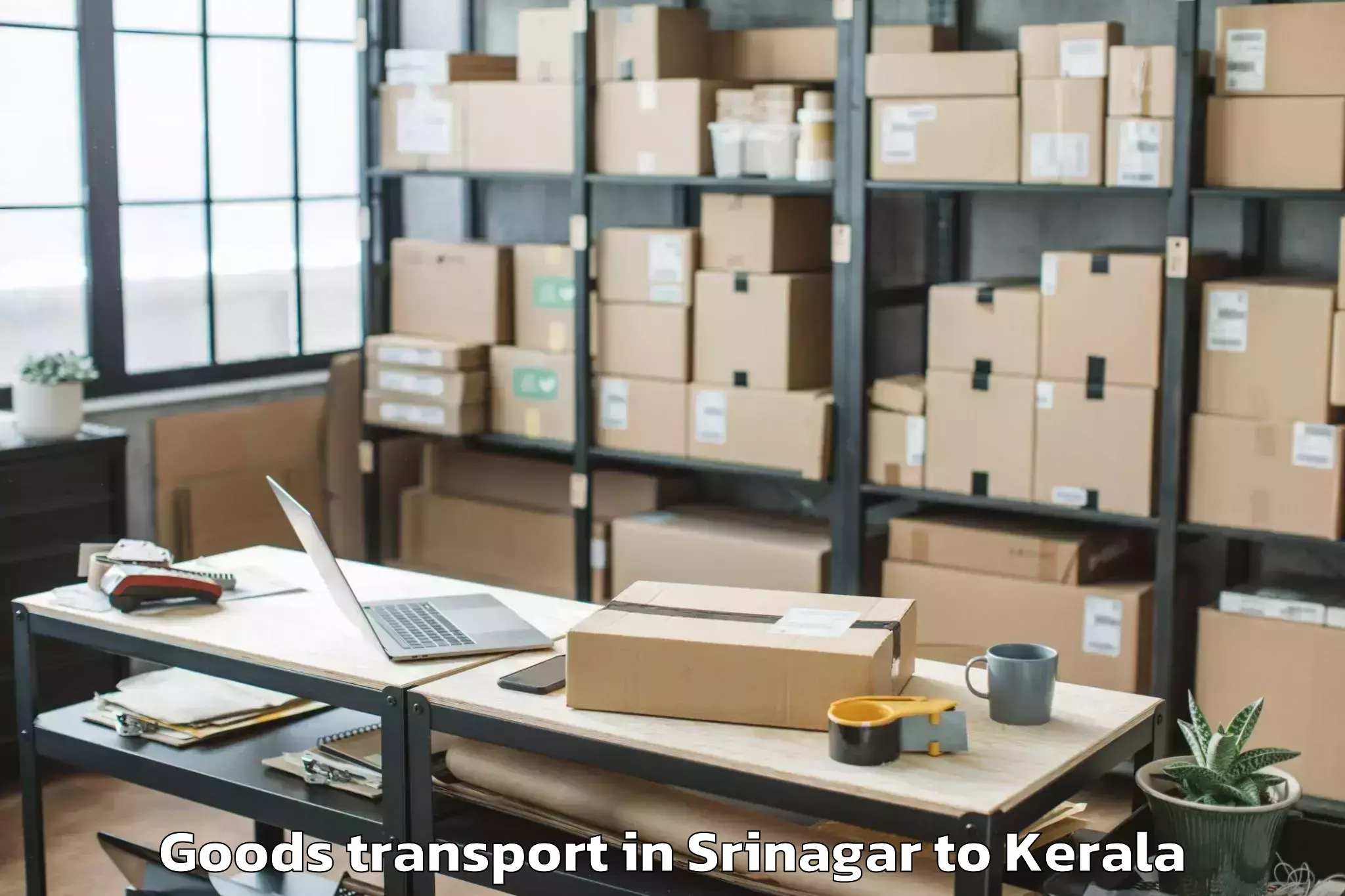 Trusted Srinagar to Chittur Goods Transport